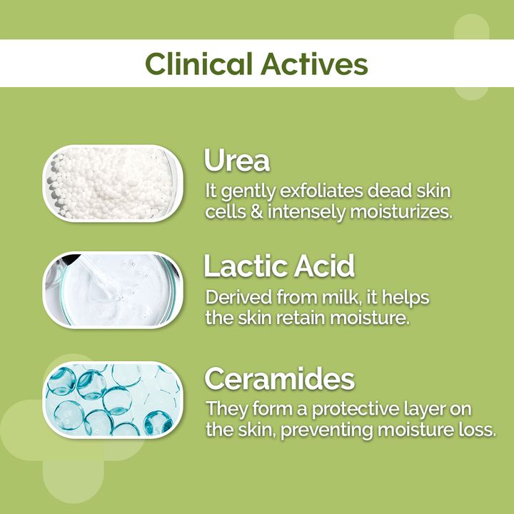 The Derma Co.