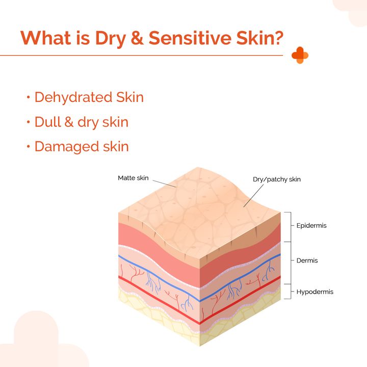 The Derma Co.