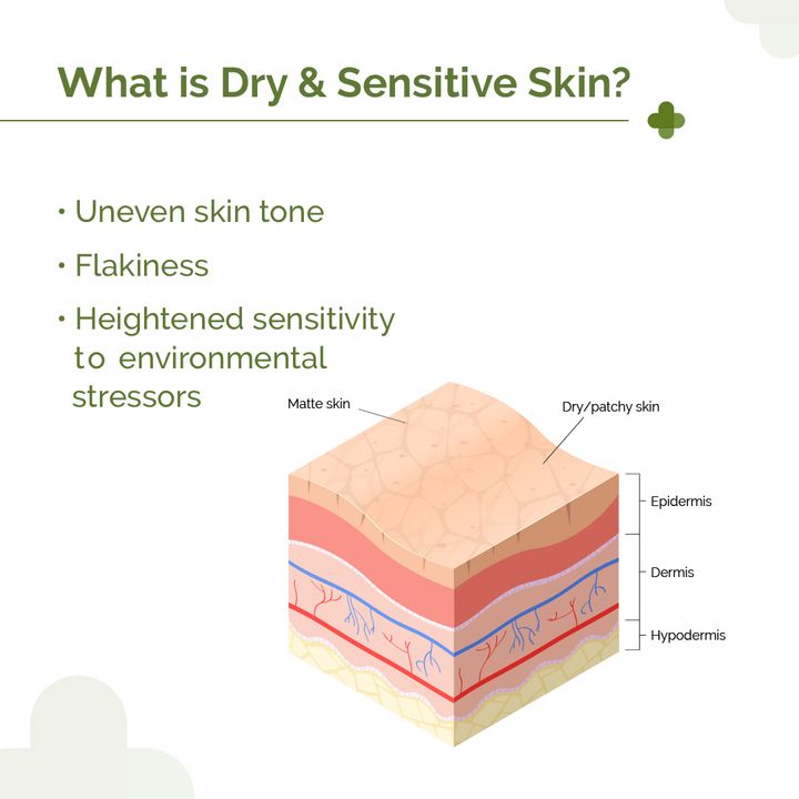 the derma co niacinamide cream with ceramide for dry & sensitive skin